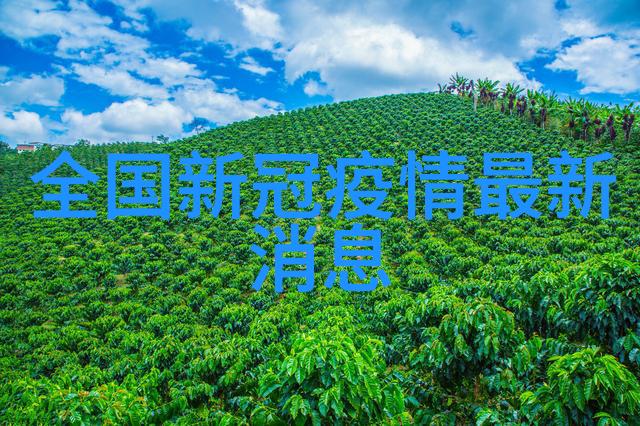 家常排骨排骨的做法最快最好吃